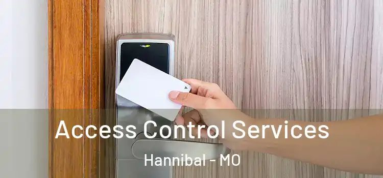 Access Control Services Hannibal - MO