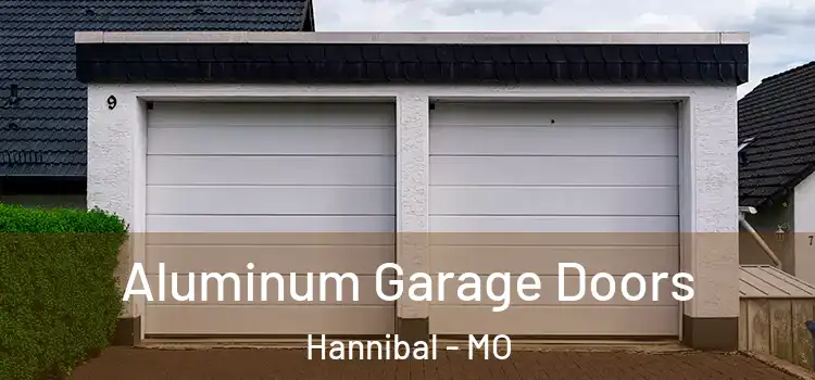  Aluminum Garage Doors Hannibal - MO