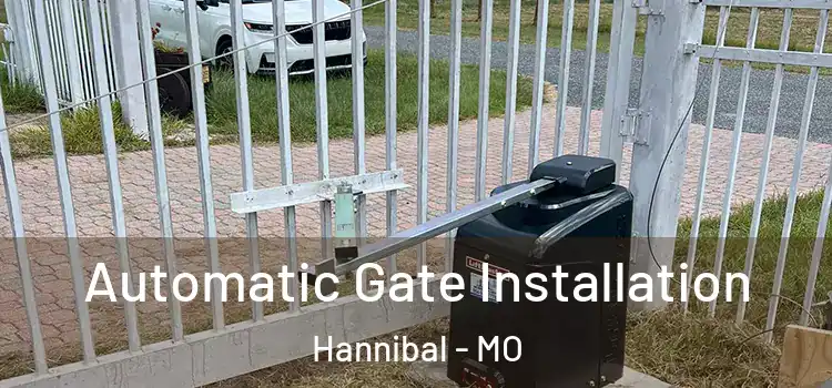 Automatic Gate Installation Hannibal - MO