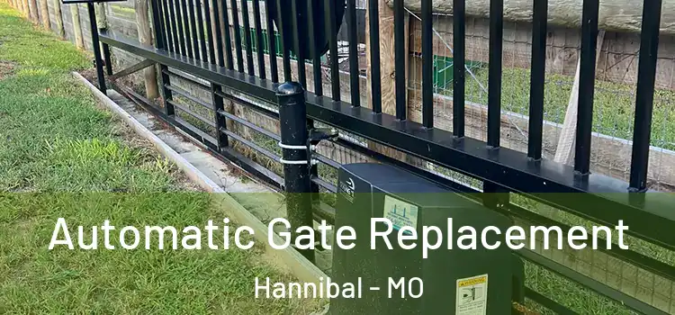 Automatic Gate Replacement Hannibal - MO