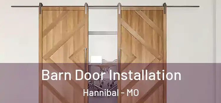 Barn Door Installation Hannibal - MO