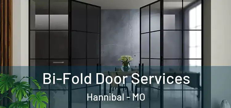 Bi-Fold Door Services Hannibal - MO