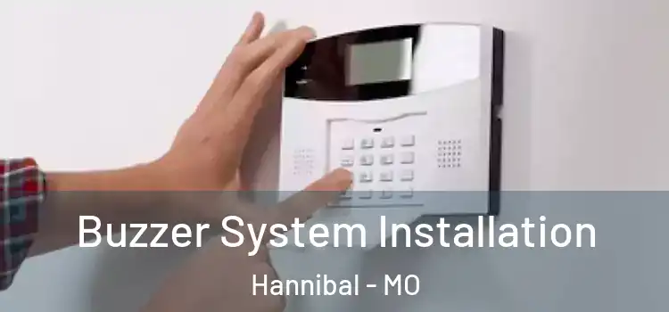 Buzzer System Installation Hannibal - MO