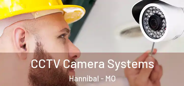 CCTV Camera Systems Hannibal - MO