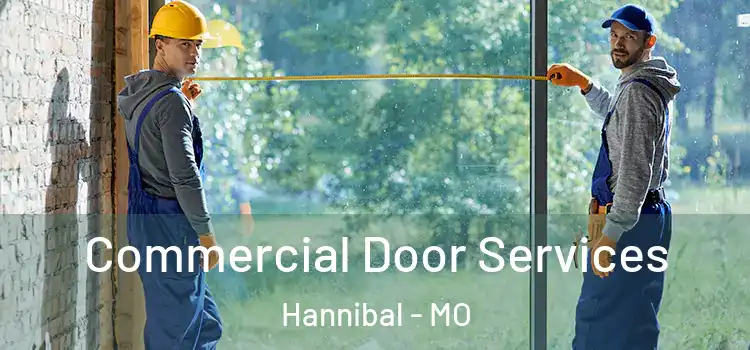 Commercial Door Services Hannibal - MO