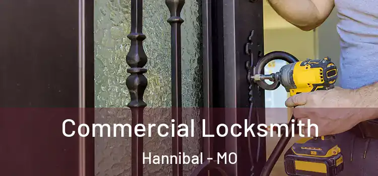 Commercial Locksmith Hannibal - MO