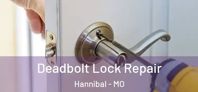 Deadbolt Lock Repair Hannibal - MO
