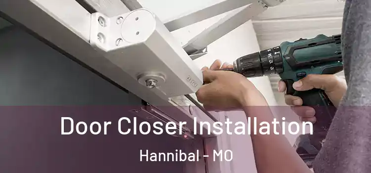 Door Closer Installation Hannibal - MO