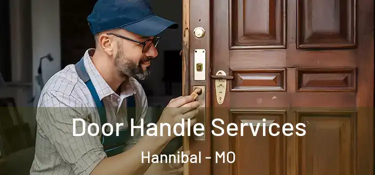 Door Handle Services Hannibal - MO