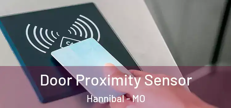 Door Proximity Sensor Hannibal - MO
