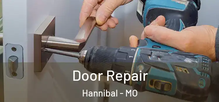 Door Repair Hannibal - MO