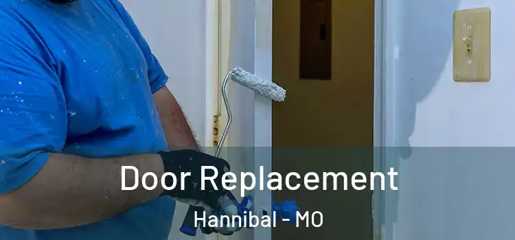 Door Replacement Hannibal - MO