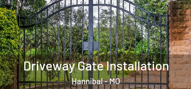 Driveway Gate Installation Hannibal - MO