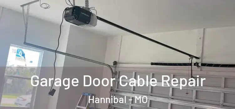  Garage Door Cable Repair Hannibal - MO