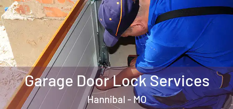 Garage Door Lock Services Hannibal - MO