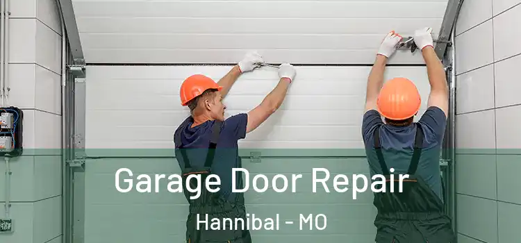  Garage Door Repair Hannibal - MO