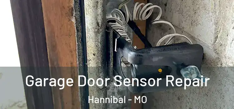 Garage Door Sensor Repair Hannibal - MO
