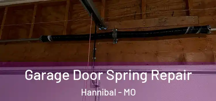  Garage Door Spring Repair Hannibal - MO