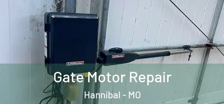  Gate Motor Repair Hannibal - MO