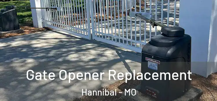 Gate Opener Replacement Hannibal - MO