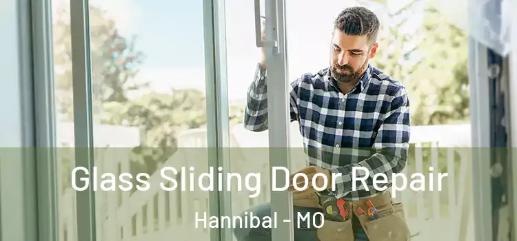 Glass Sliding Door Repair Hannibal - MO