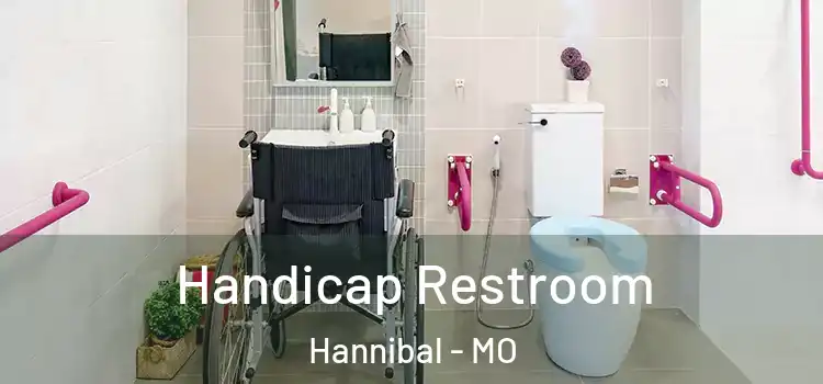  Handicap Restroom Hannibal - MO
