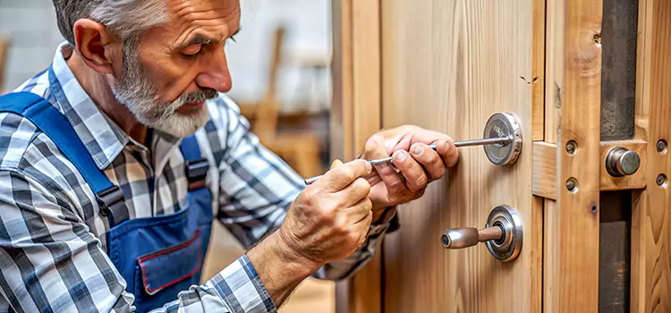 Mortise Replacement Lock Hannibal