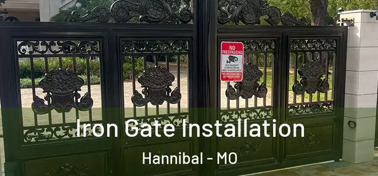Iron Gate Installation Hannibal - MO