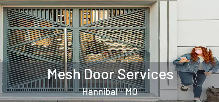 Mesh Door Services Hannibal - MO