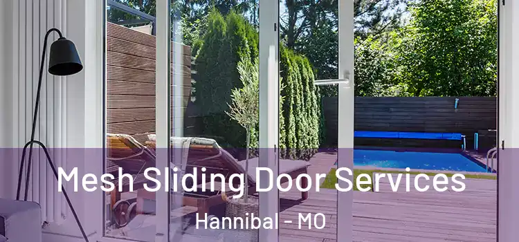  Mesh Sliding Door Services Hannibal - MO