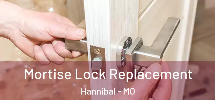 Mortise Lock Replacement Hannibal - MO