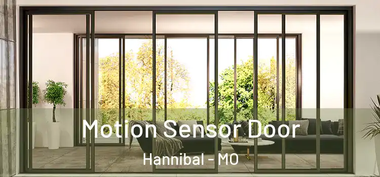 Motion Sensor Door Hannibal - MO