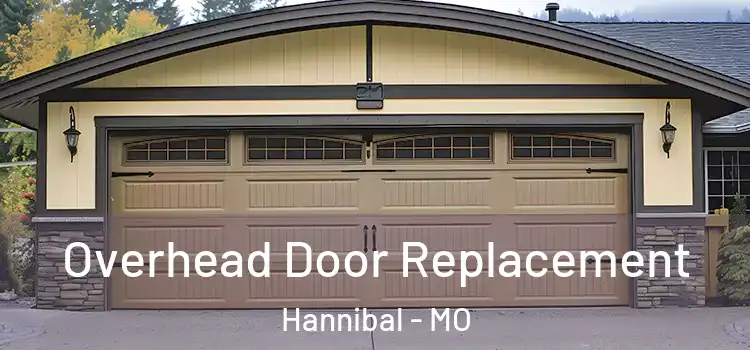  Overhead Door Replacement Hannibal - MO