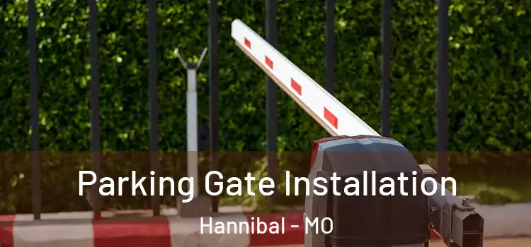 Parking Gate Installation Hannibal - MO