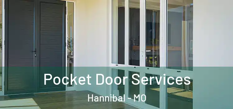 Pocket Door Services Hannibal - MO