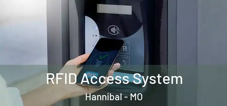  RFID Access System Hannibal - MO