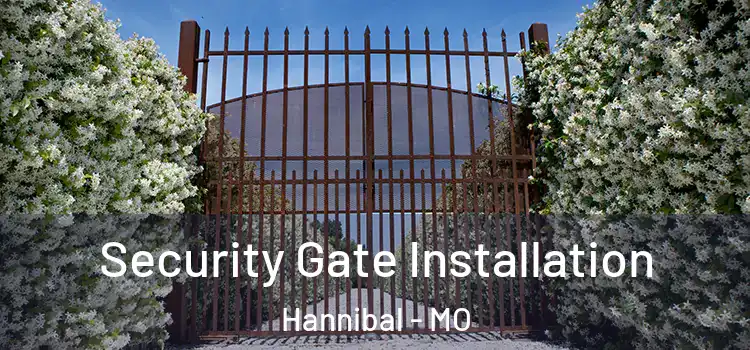 Security Gate Installation Hannibal - MO
