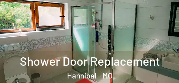 Shower Door Replacement Hannibal - MO