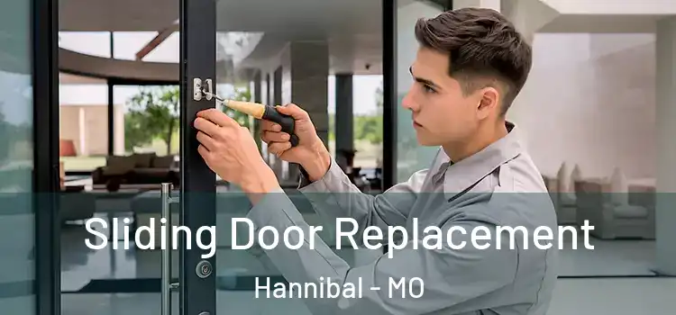 Sliding Door Replacement Hannibal - MO