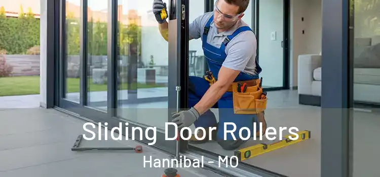 Sliding Door Rollers Hannibal - MO