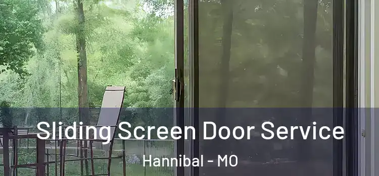  Sliding Screen Door Service Hannibal - MO